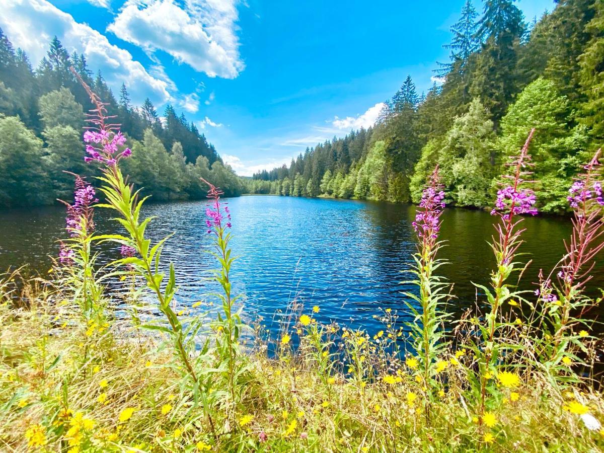 B&B Am Oker, Altenau, Harz Altenau  Esterno foto