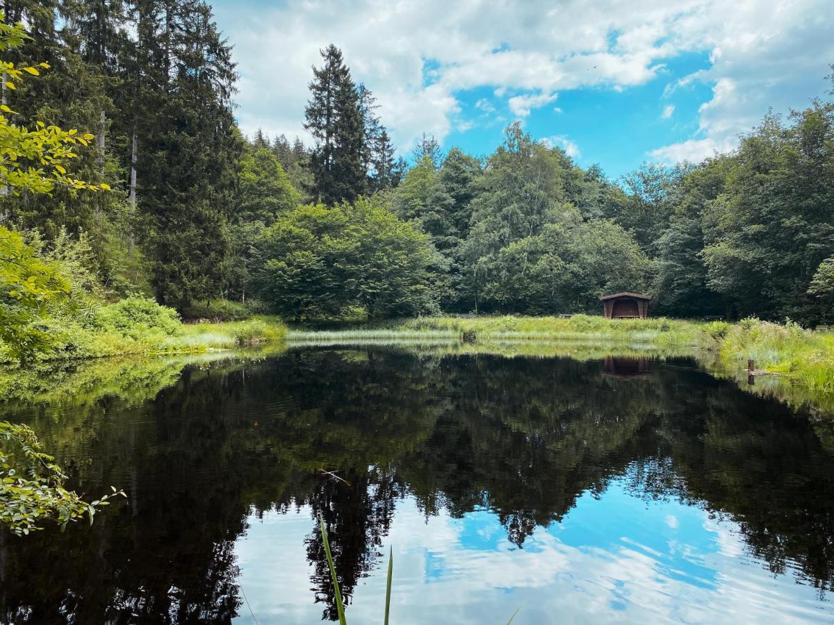 B&B Am Oker, Altenau, Harz Altenau  Esterno foto