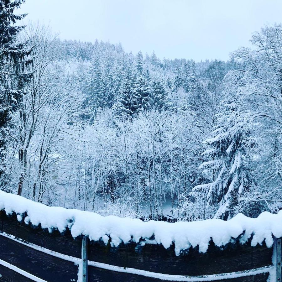 B&B Am Oker, Altenau, Harz Altenau  Esterno foto
